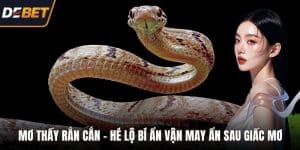 Mơ thấy rắn cắn